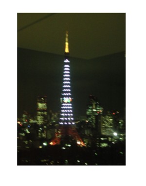 20081201東京タワーの電飾1.jpg